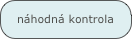 náhodná kontrola